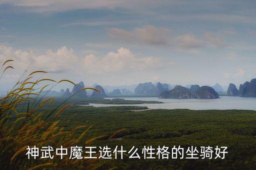 神武中魔王选什么性格的坐骑好