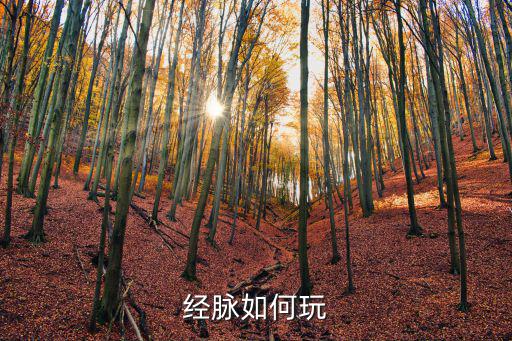 白发魔女传手游经脉怎么玩，经脉如何玩