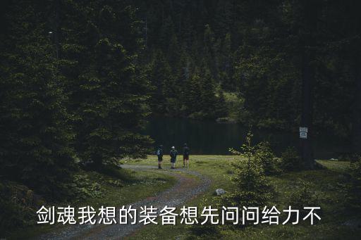 剑魂我想的装备想先问问给力不