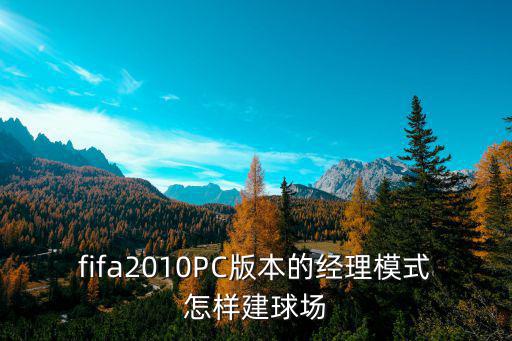 fifa2010PC版本的经理模式怎样建球场