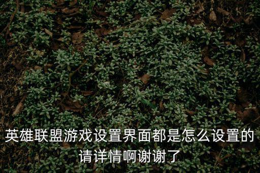 英雄联盟游戏设置界面都是怎么设置的请详情啊谢谢了