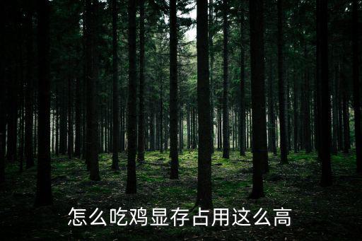 怎么吃鸡显存占用这么高