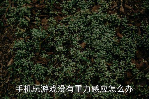 手游重力感应器怎么获得，手机玩游戏没有重力感应怎么办
