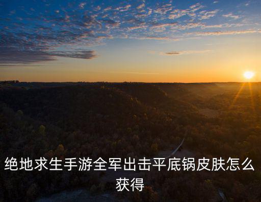 绝地求生手游全军出击平底锅皮肤怎么获得