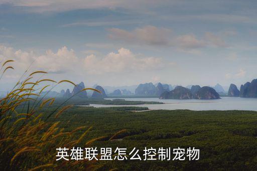 lol手游卡莎r怎么控制，r闪怎么操作