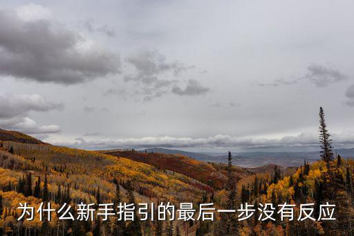 为什么新手指引的最后一步没有反应