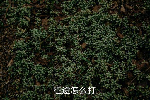 征途手游地府怎么打，征途怎么打