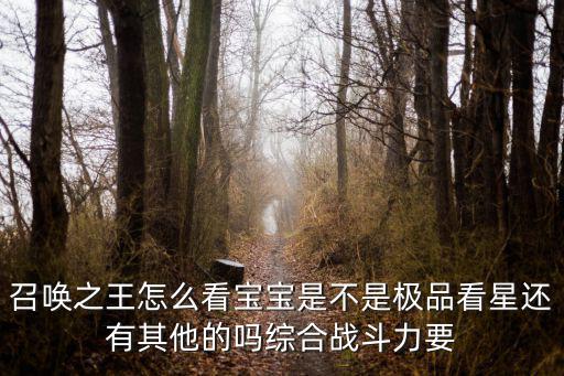 召唤之王怎么看宝宝是不是极品看星还有其他的吗综合战斗力要