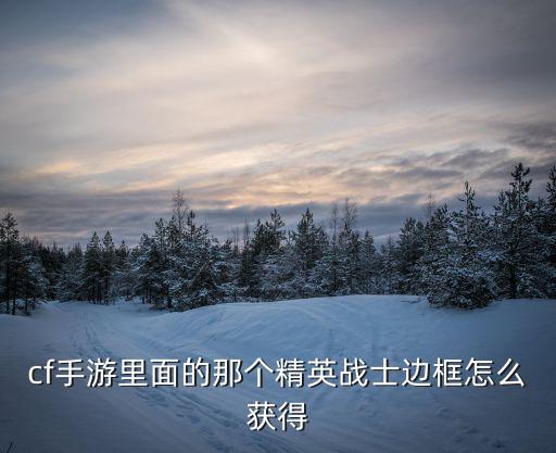 cf手游里面的那个精英战士边框怎么获得