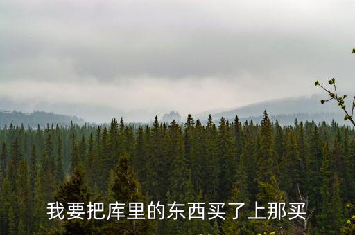 我要把库里的东西买了上那买