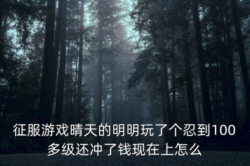 征服游戏晴天的明明玩了个忍到100多级还冲了钱现在上怎么