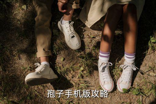 孢子进化手游怎么刷，关于孢子秘籍