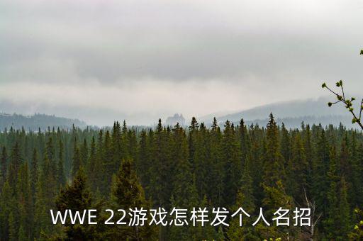 WWE 22游戏怎样发个人名招