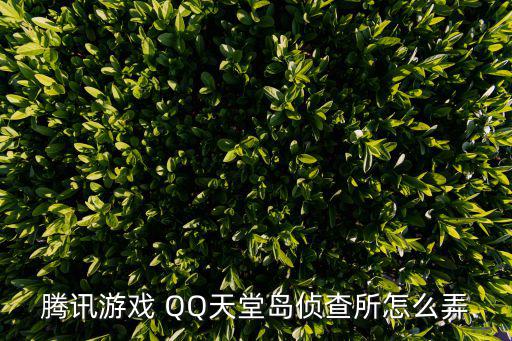 腾讯游戏 QQ天堂岛侦查所怎么弄