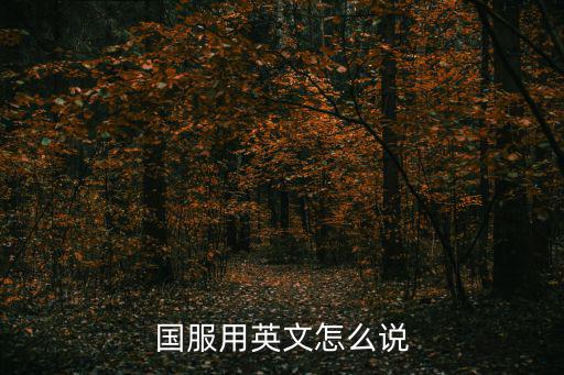 英雄联盟手游国际服用英语怎么说，国服用英文怎么说