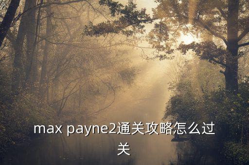 max payne2通关攻略怎么过关