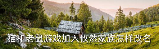第一次玩猫和老鼠手游怎么换名字，怎样更改游戏名字