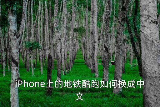 苹果系统怎么汉化地下城手游，苹果手机设置从英文怎么换成中文