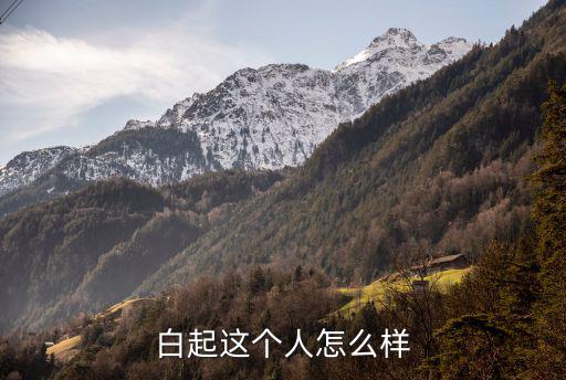 白起这个人怎么样