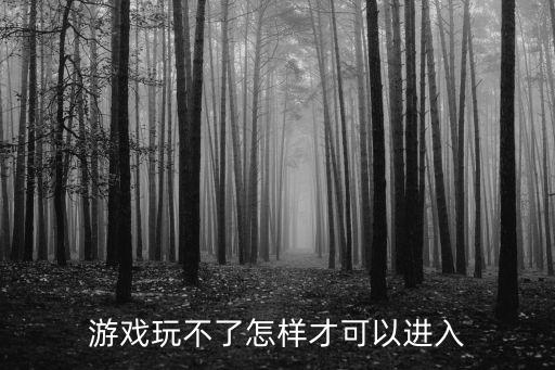 游戏玩不了怎样才可以进入