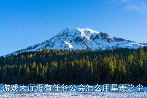 游戏大厅没有任务公会怎么用星舞之尘