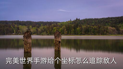 完美世界手游攻略怎么显示所有人，完美世界游戏界面看不到其它玩家的形像只看到玩家的名字在跑这是