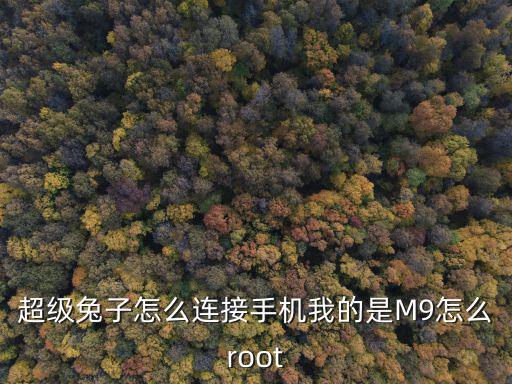 超级兔子怎么连接手机我的是M9怎么root