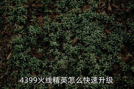 4399火线精英怎么快速升级
