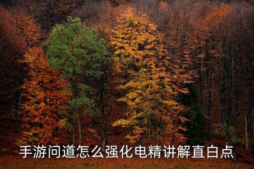 手游问道怎么强化电精讲解直白点