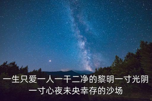 一生只爱一人一干二净的黎明一寸光阴一寸心夜未央幸存的沙场