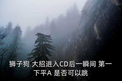 狮子狗 大招进入CD后一瞬间 第一下平A 是否可以跳