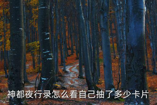 神都夜行录怎么看自己抽了多少卡片