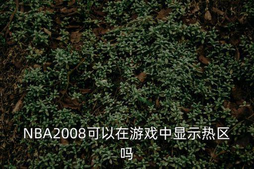 NBA2008可以在游戏中显示热区吗