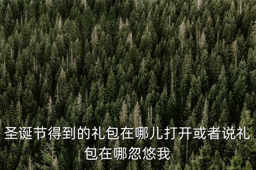圣诞节得到的礼包在哪儿打开或者说礼包在哪忽悠我