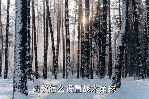 请教怎么设置战术角球