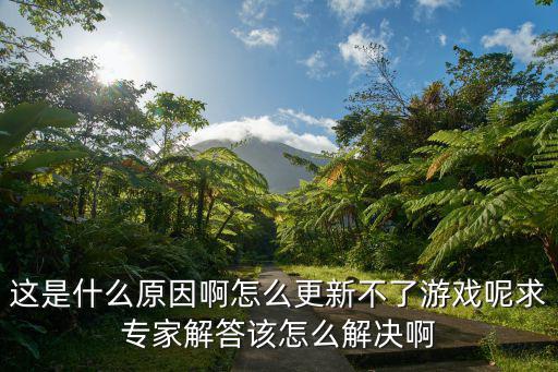 这是什么原因啊怎么更新不了游戏呢求专家解答该怎么解决啊