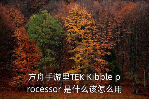 方舟手游里TEK Kibble processor 是什么该怎么用