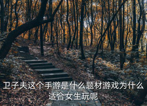 卫子夫手游怎么不能玩，卫子夫这个手游是什么题材游戏为什么适合女生玩呢