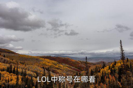 怎么查看lol手游之前的称号，LOL中称号在哪看