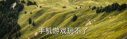 手机游戏玩不了
