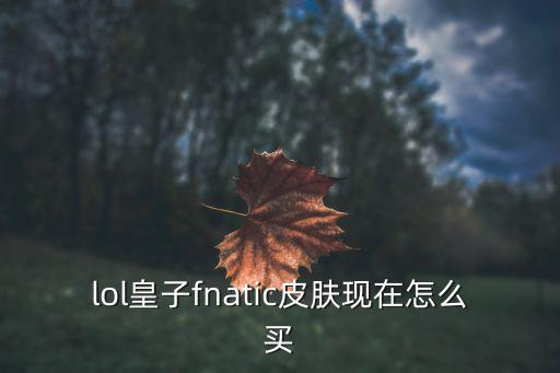 lol皇子fnatic皮肤现在怎么买