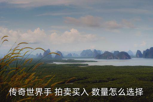 传奇世界手 拍卖买入 数量怎么选择