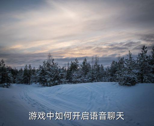 游戏中如何开启语音聊天