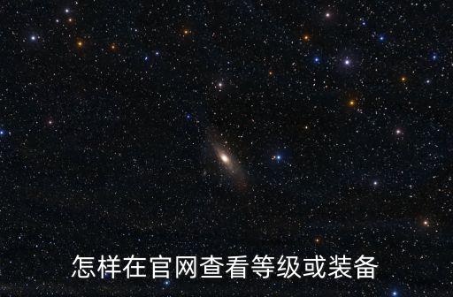怎样在官网查看等级或装备