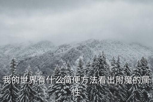 我的世界有什么简便方法看出附魔的属性
