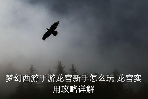 梦幻西游手游龙宫新手怎么玩 龙宫实用攻略详解