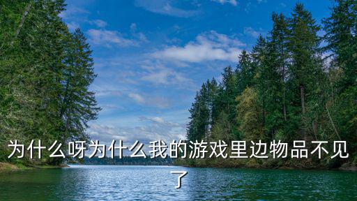 为什么呀为什么我的游戏里边物品不见了