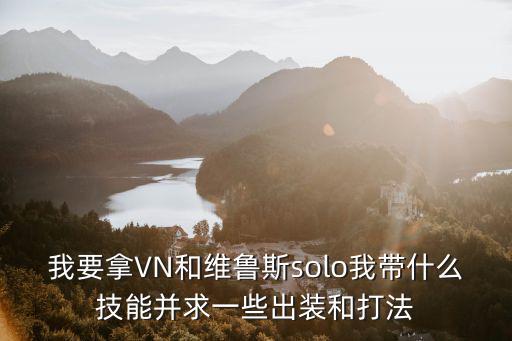 我要拿VN和维鲁斯solo我带什么技能并求一些出装和打法