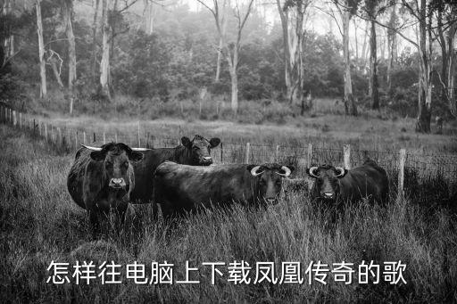 抖音凤凰传奇手游电脑版怎么下载，怎样往电脑上下载凤凰传奇的歌