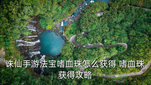诛仙手游法宝嗜血珠怎么获得 嗜血珠获得攻略